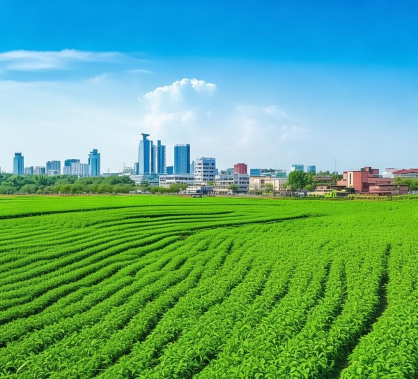 木兰县农业经济繁荣，商务发展新阶段